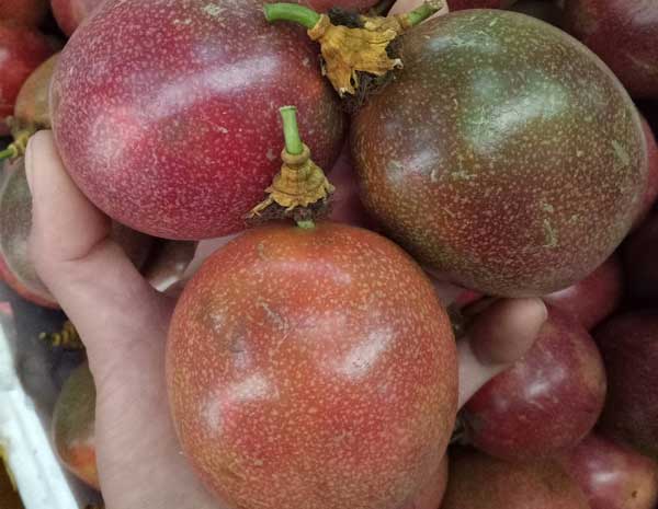百香果大中小果的区分规格是什么